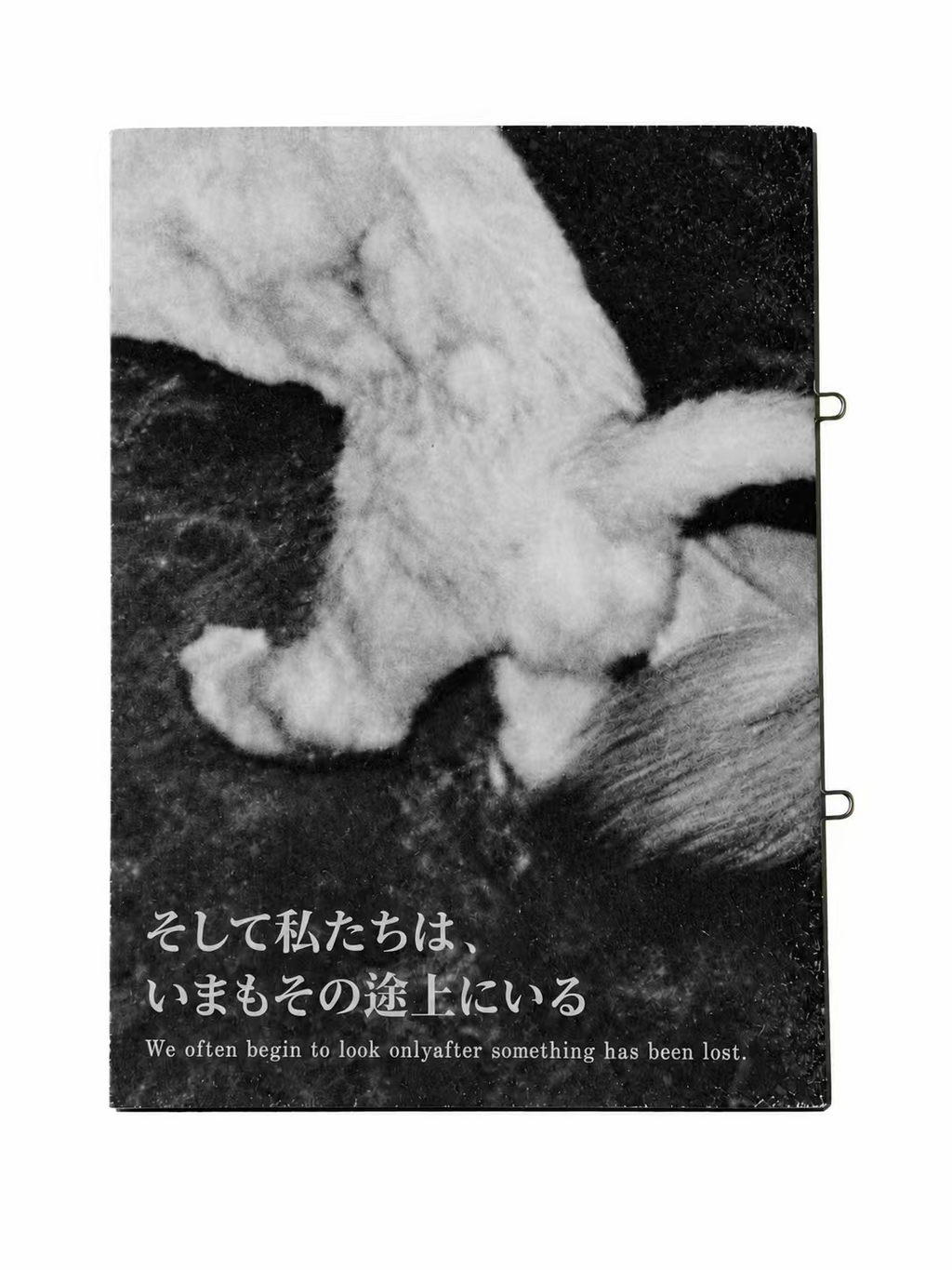 Eurydice Has Not Yet Arrived — cover