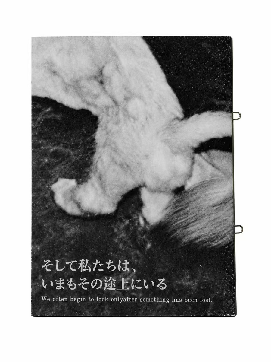 Eurydice Has Not Yet Arrived — cover