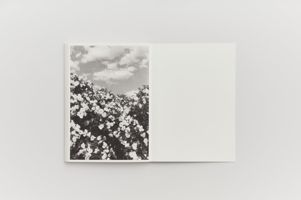 中 (Middle) by Sergei Pavlov — interior spread 8. © Sergei Pavlov