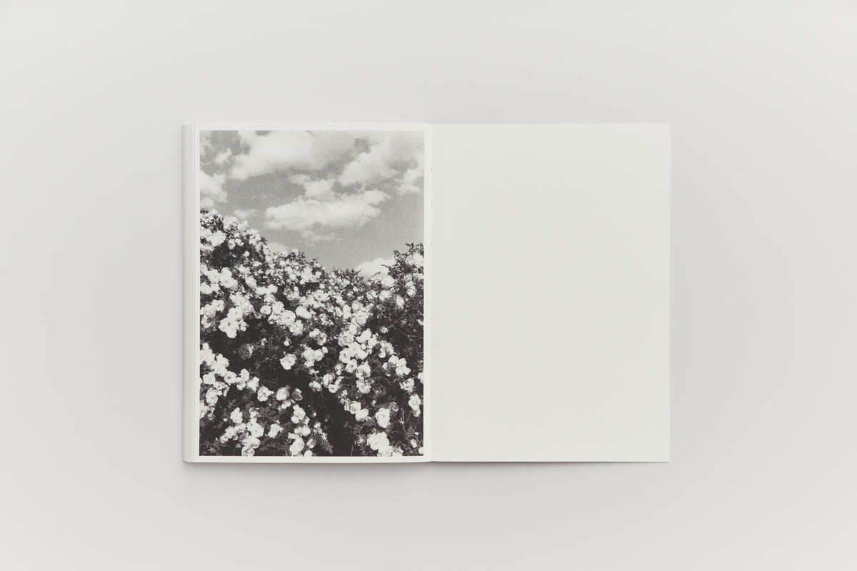 中 (Middle) by Sergei Pavlov — interior spread 8. © Sergei Pavlov